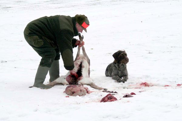 Jagd Wild Aufbrechen